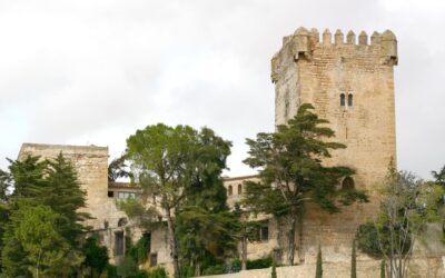 Montemayor formará una plataforma ciudadana para que el Castillo sea visitable
