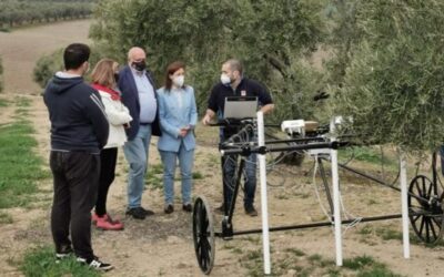Cultura ya investiga en los terrenos en que apareció la escultura de la «leona ibera» de La Rambla