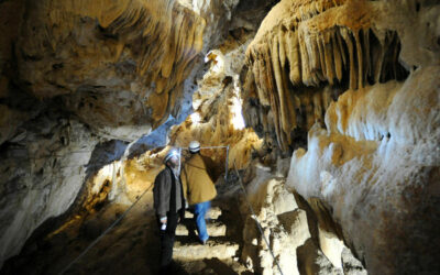 Un estudio recomienda potenciar el uso turístico de la Cueva de los Murciélagos de Zuheros