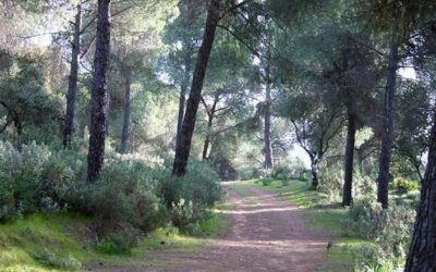 Posadas aspira a un premio de la Organización Mundial del Turismo