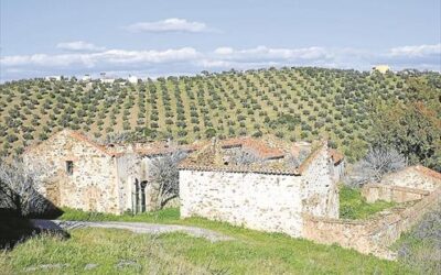 Recogen la historia de las molinas en un libro