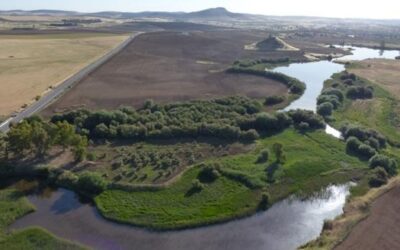 Fuente Obejuna se hace con el terreno para buscar la ciudad romana de Mellaria