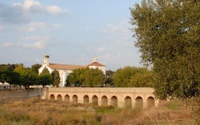 En Pedroche muestran las tradiciones vinculadas con el campo