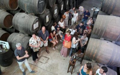 El Consistorio de Montilla busca el apoyo de la UE para «potenciar» el enoturismo