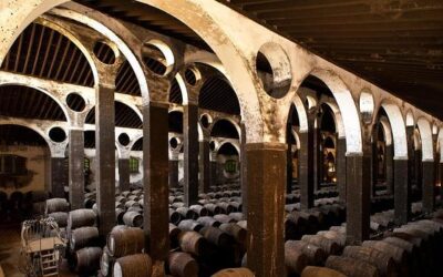 Los patios de bodegas y lagares de Montilla se abren al turismo