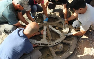 Impresionante descubrimiento arqueológico en Montemayor: hallan un carro íbero