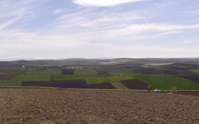 La Campiña cordobesa descubre su historia bajomedieval gracias a un estudio de la UCO