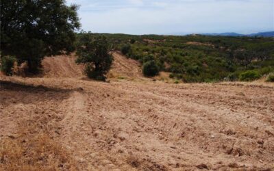 La Diputación crea la «Ruta del Sitio Histórico de Cerro Muriano»