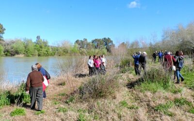 Una ruta por las huertas muestra la unión del Genil y el Guadalquivir