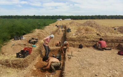 Descubierto el alfar romano más antiguo del Valle del Gualdalquivir