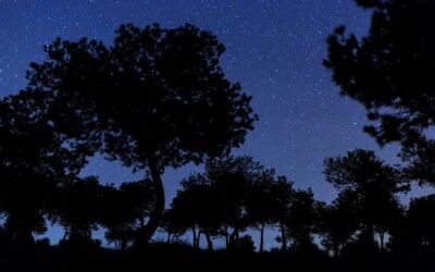 La Diputación mejora las luminarias de los municipios que son reserva Startlight