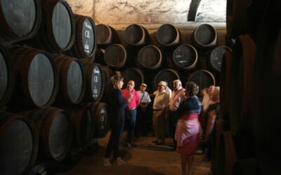 Montilla celebra del 27 al 29 de septiembre la XIV Fiesta del Vino y la Tapa